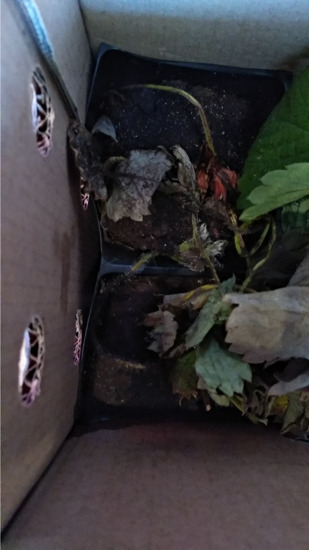 IMG 20200914 102322 HHT.jpg