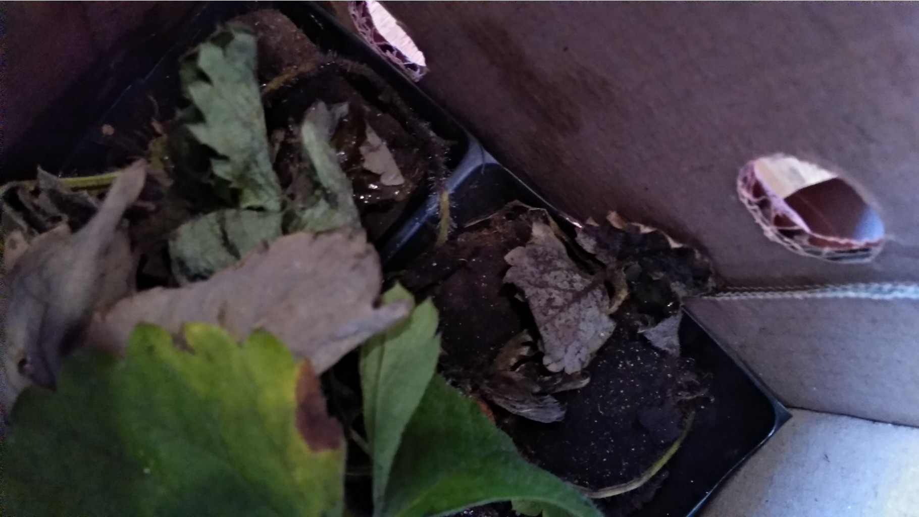 IMG 20200914 103223 HHT.jpg