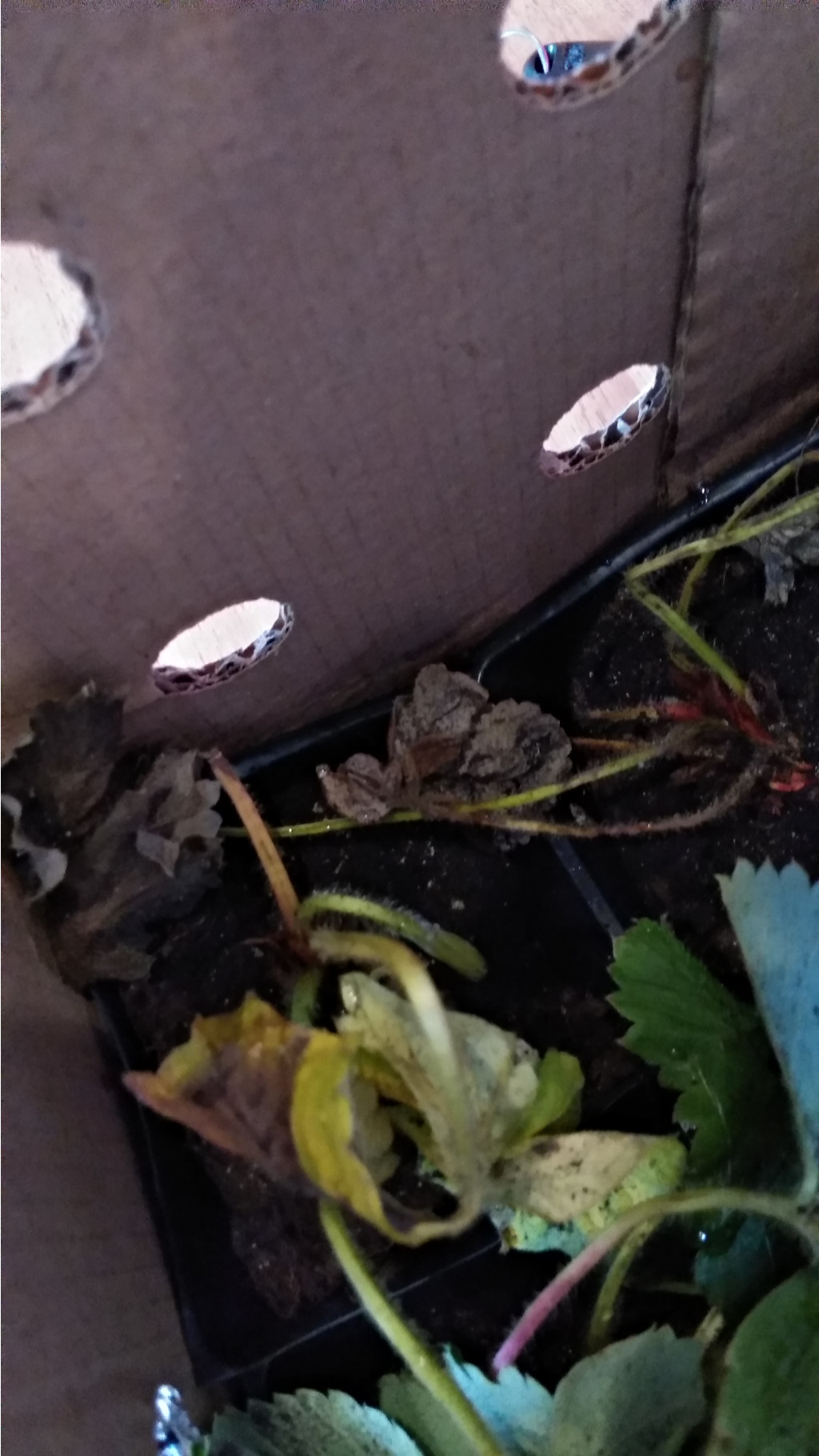 IMG 20200914 103137 HHT.jpg