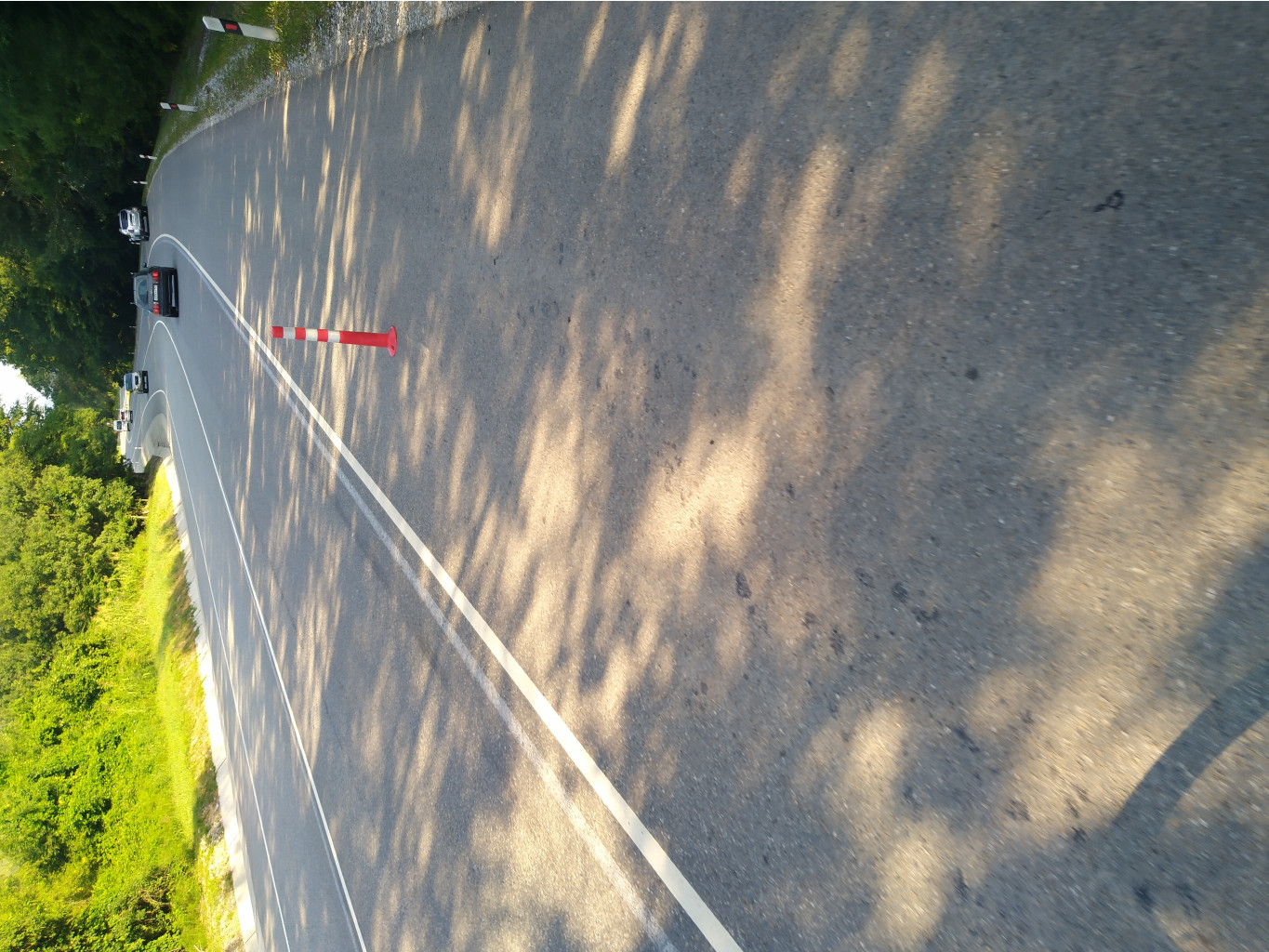 IMG 20200720 073011 3.jpg