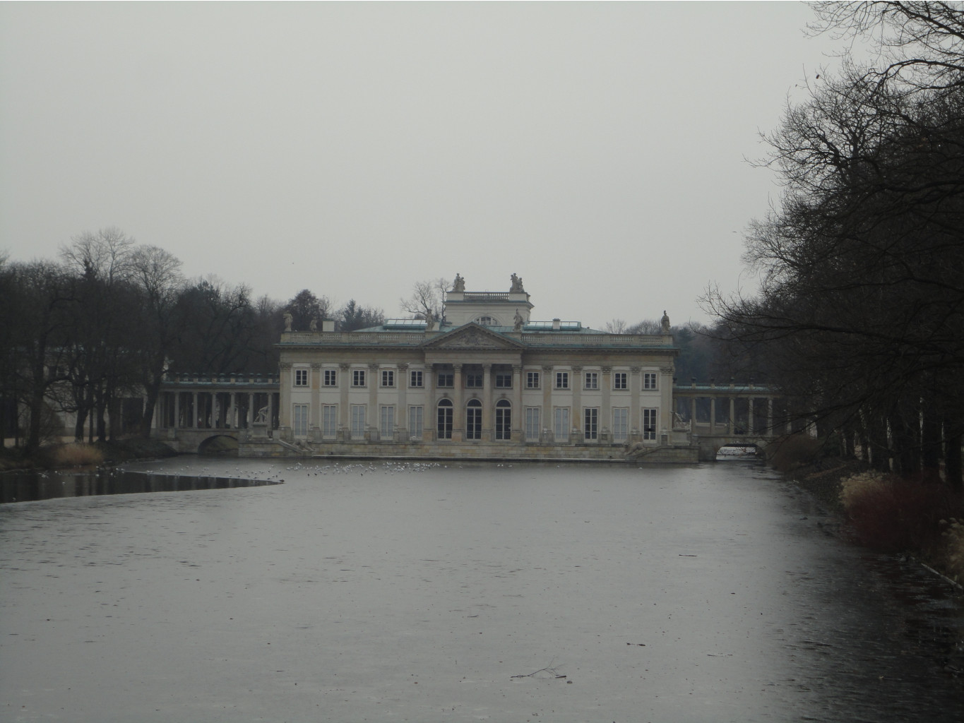 DSC09724.JPG