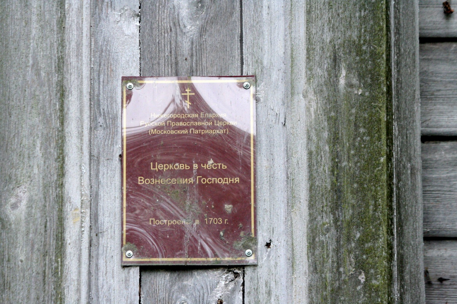IMG 0355.jpg