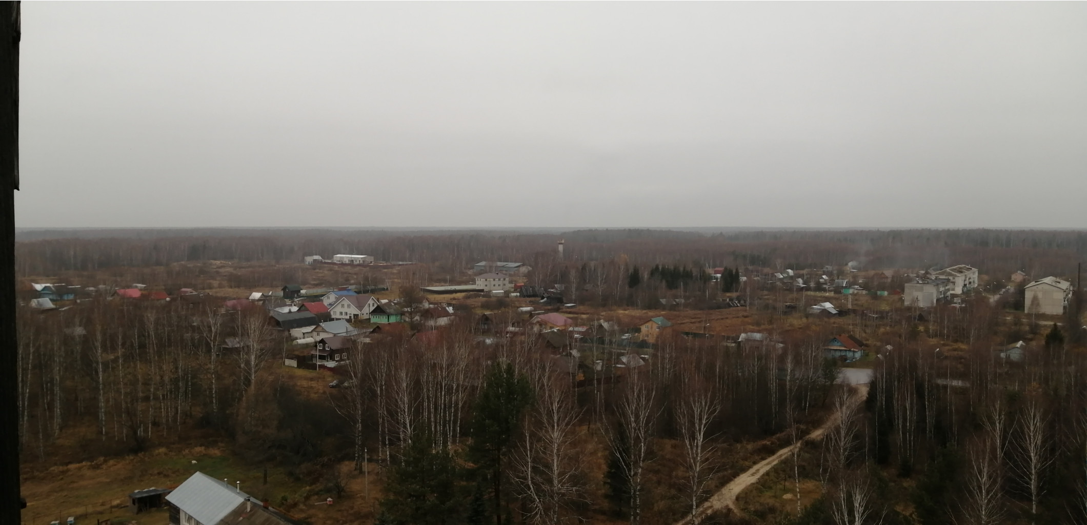 IMG 20201031 105244.jpg