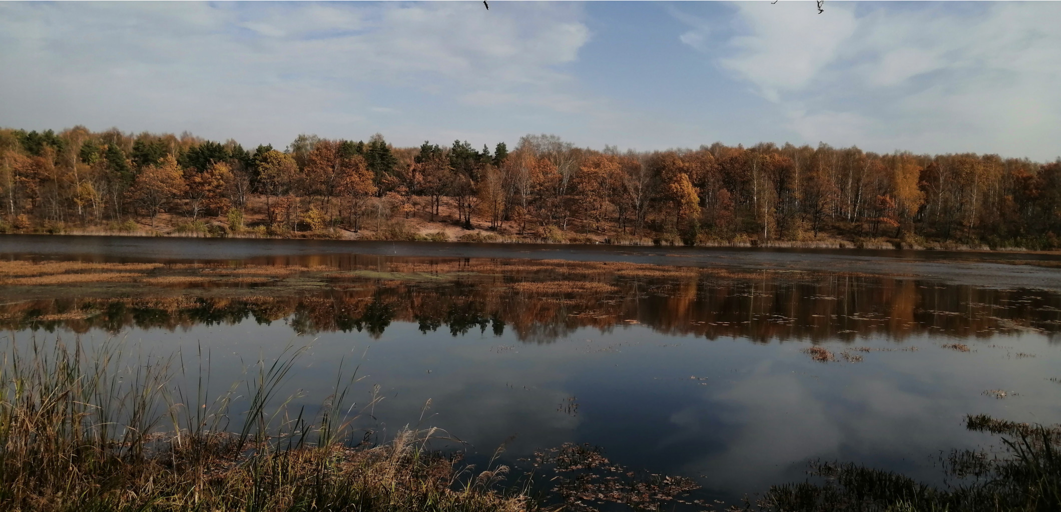 IMG 20201010 111744.jpg