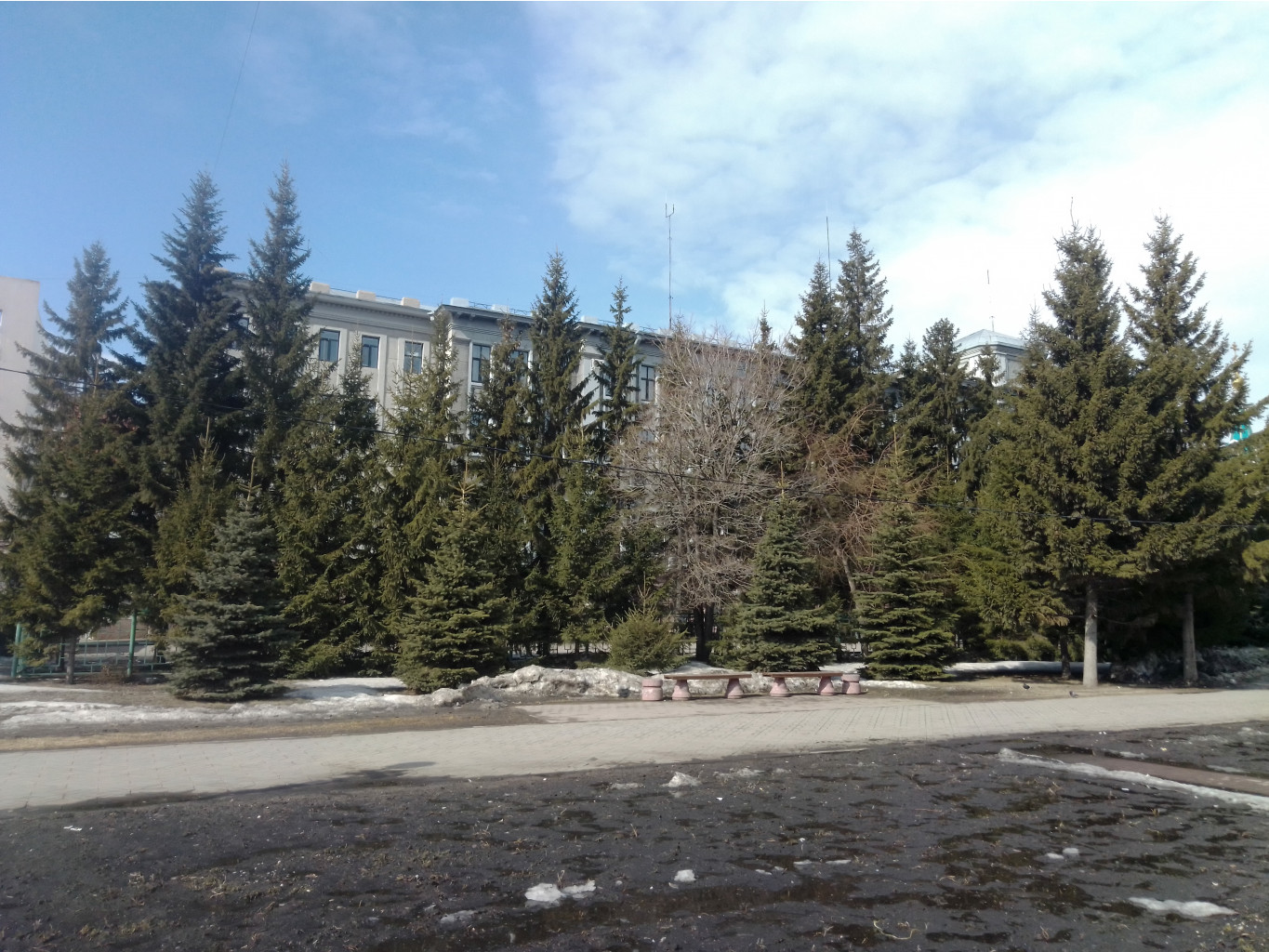 IMG 20200329 121554.jpg