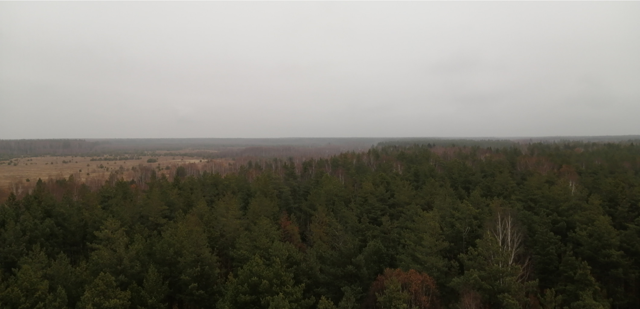 IMG 20201031 105230.jpg