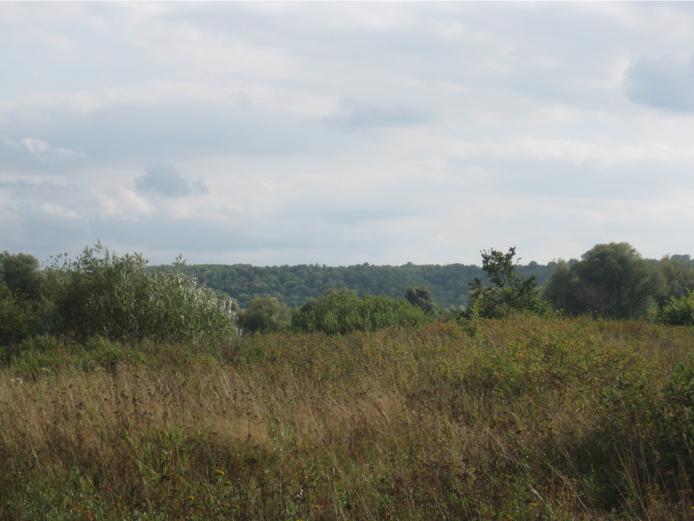 IMG 7281.JPG