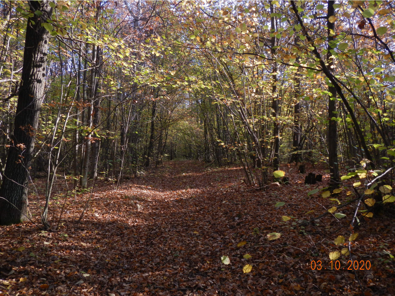 DSCN4967.JPG