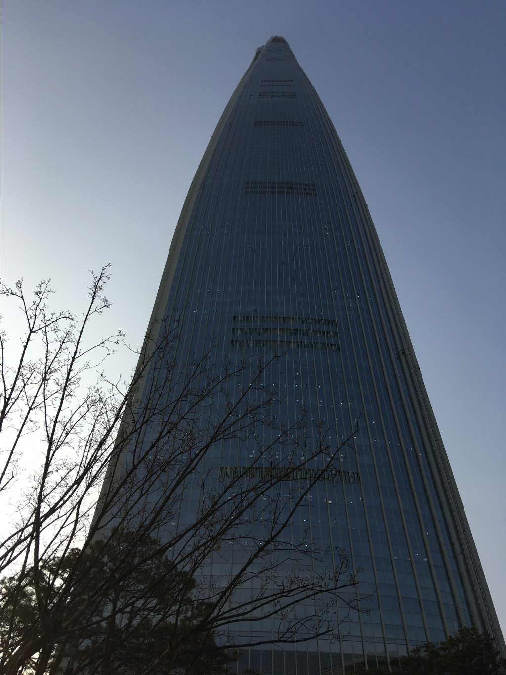 IMG 4662.JPG