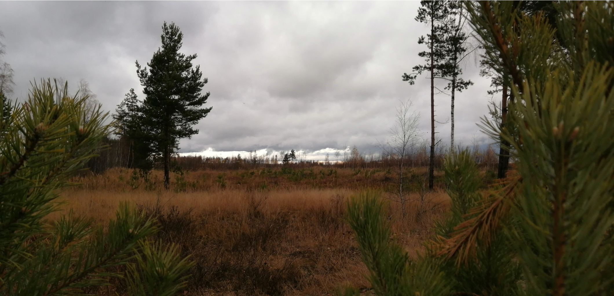 IMG 20201024 122304.jpg