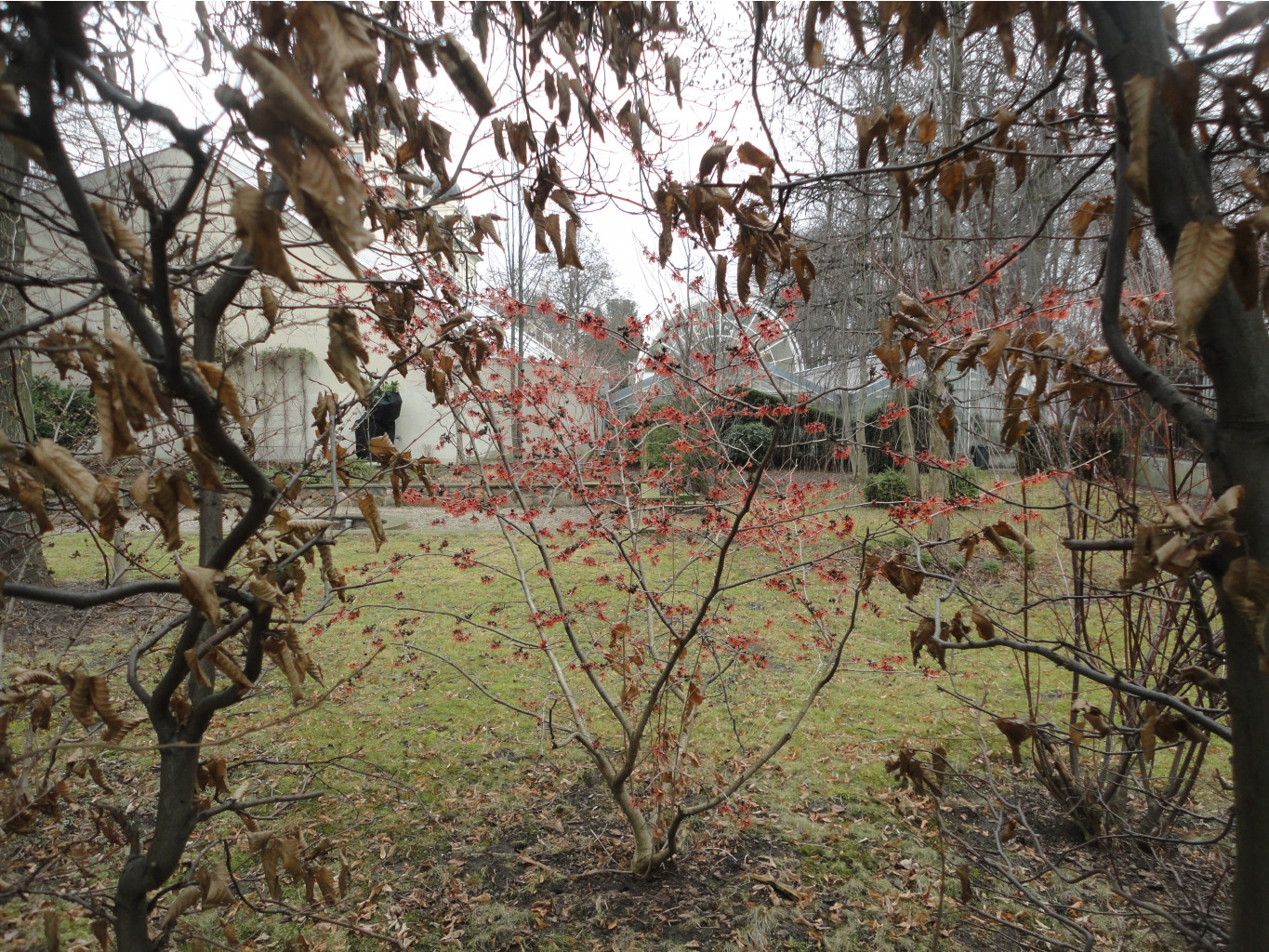 DSC09784.JPG