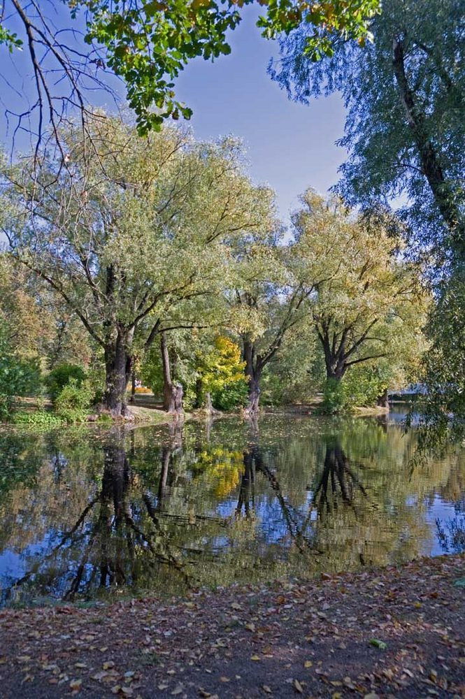 https://img.nn2.ru/galleryview/0/userfiles/data/ufiles/2020-11/03/49/e3/5fc113553d571_k717358.jpg