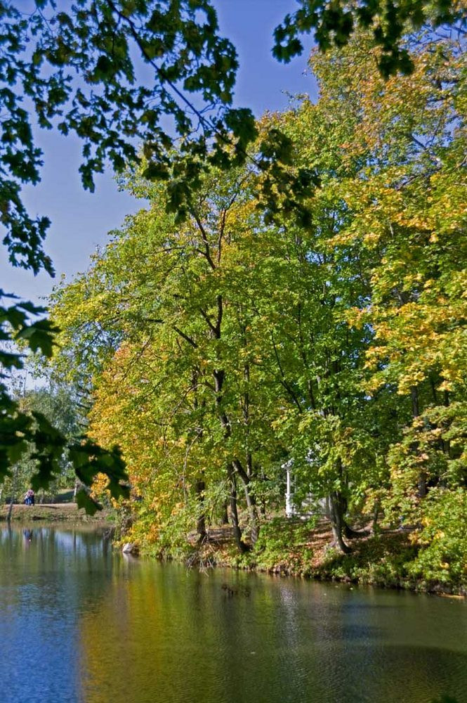 https://img.nn2.ru/galleryview/0/userfiles/data/ufiles/2020-11/11/52/9d/5fc11354532d6_k717354.jpg