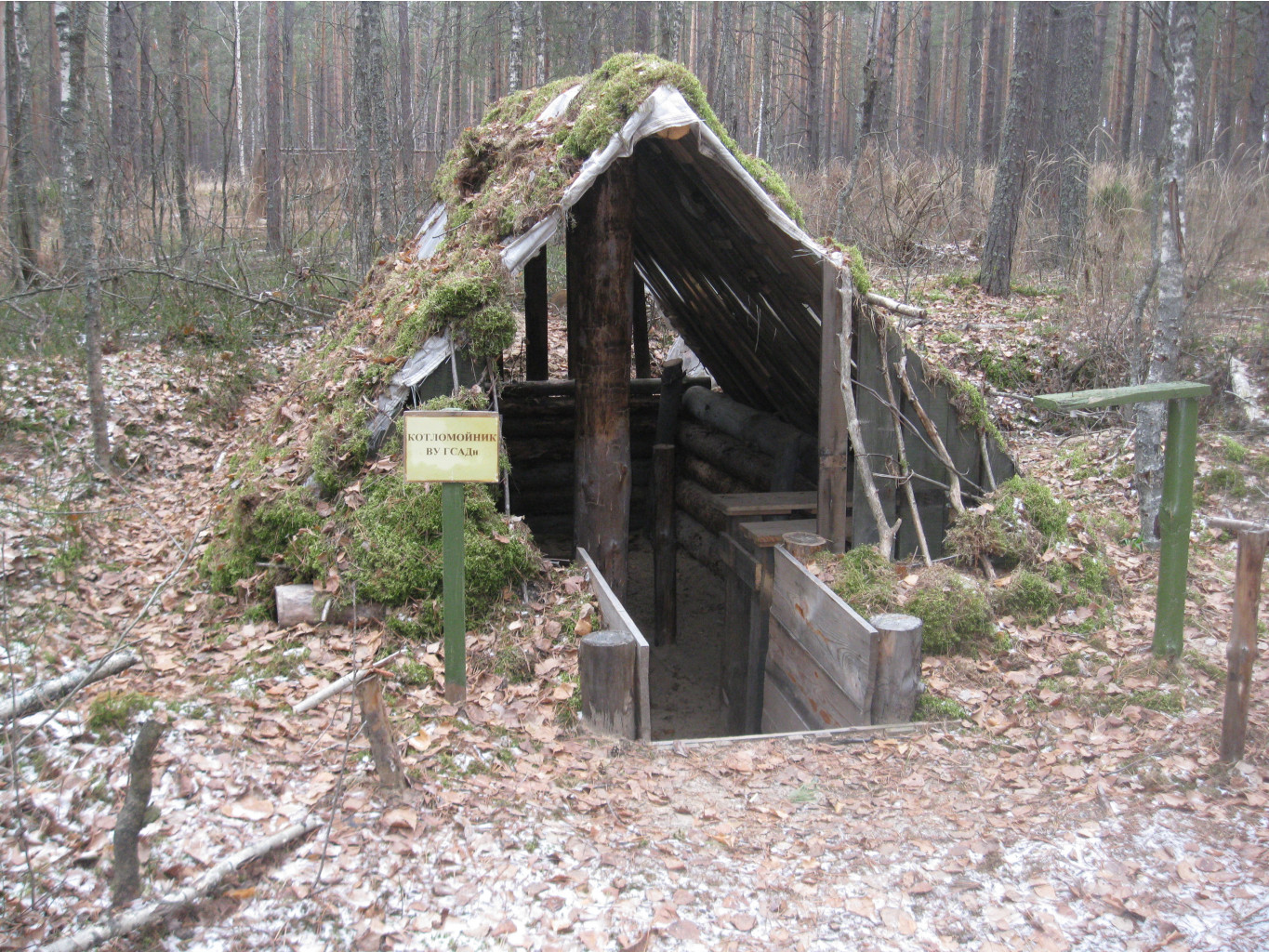IMG 8277.JPG
