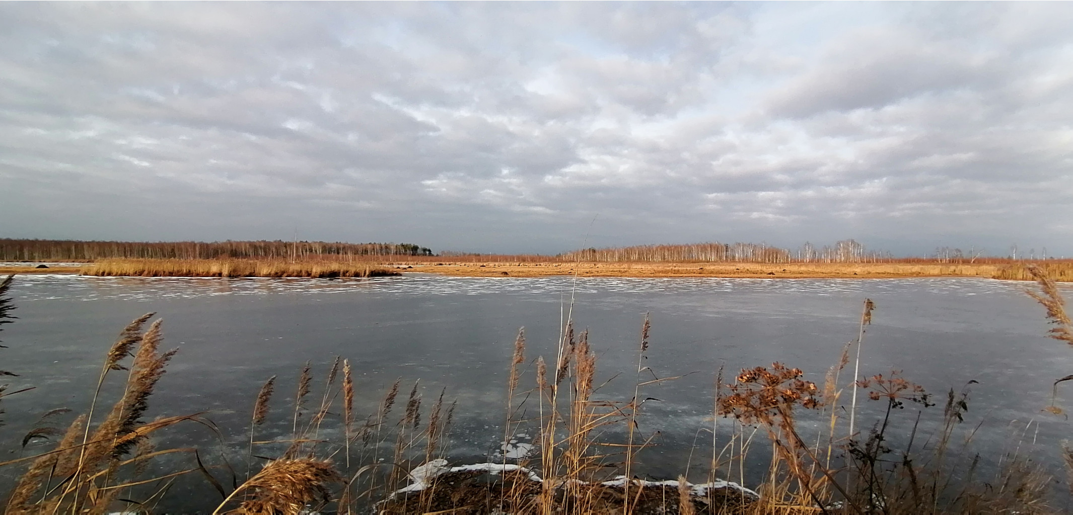 IMG 20201121 124629.jpg