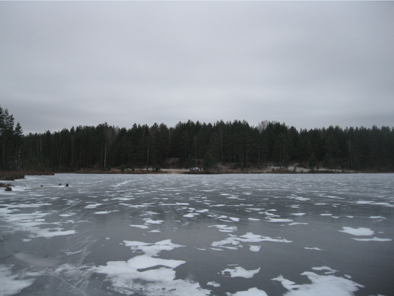 IMG 8382.JPG