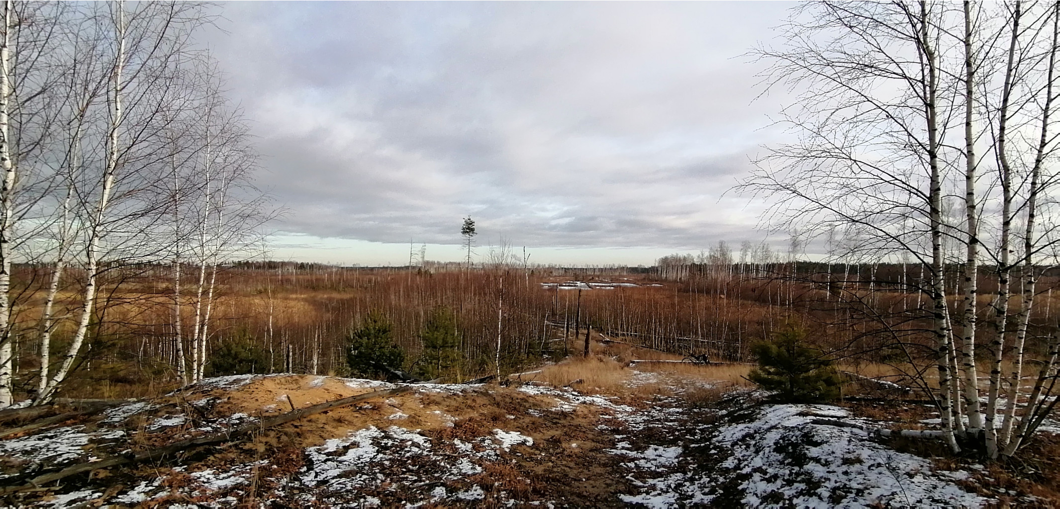 IMG 20201115 122248.jpg
