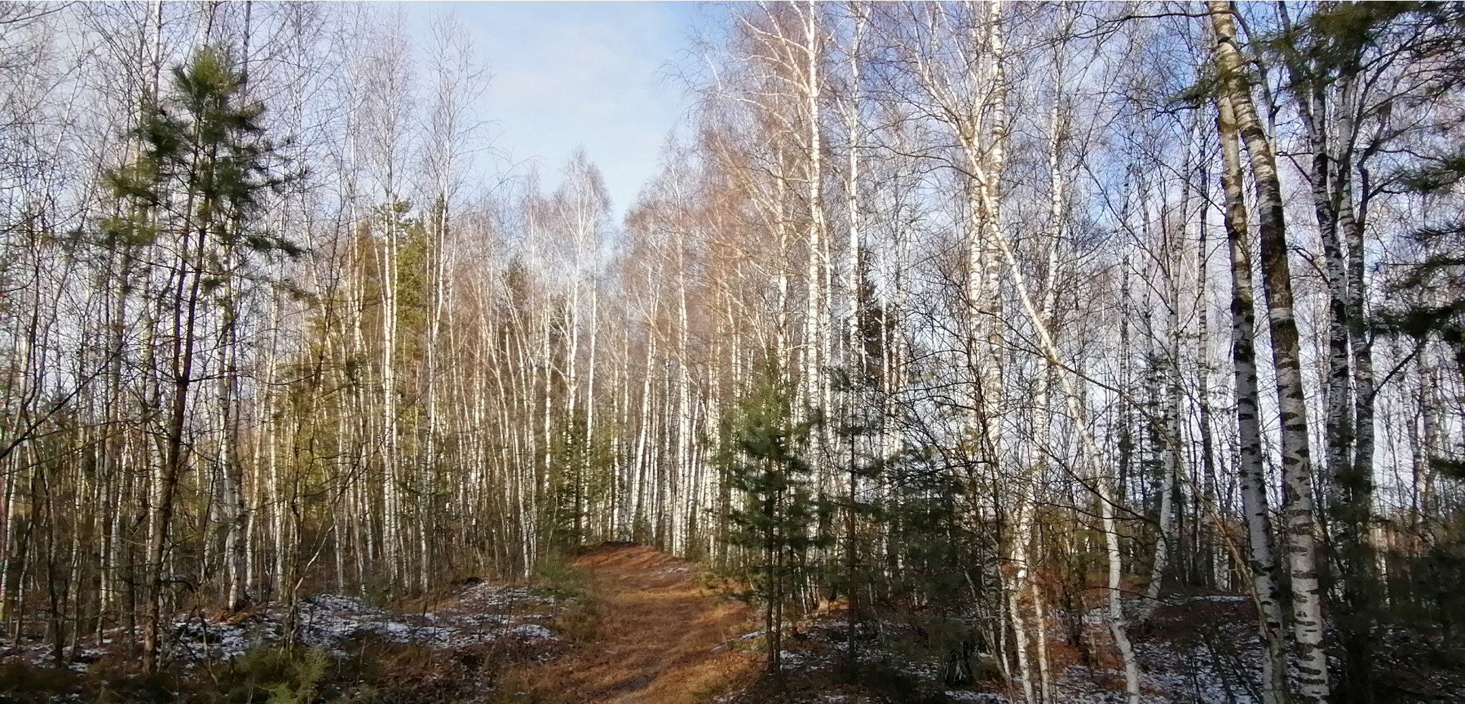 IMG 20201121 121555.jpg