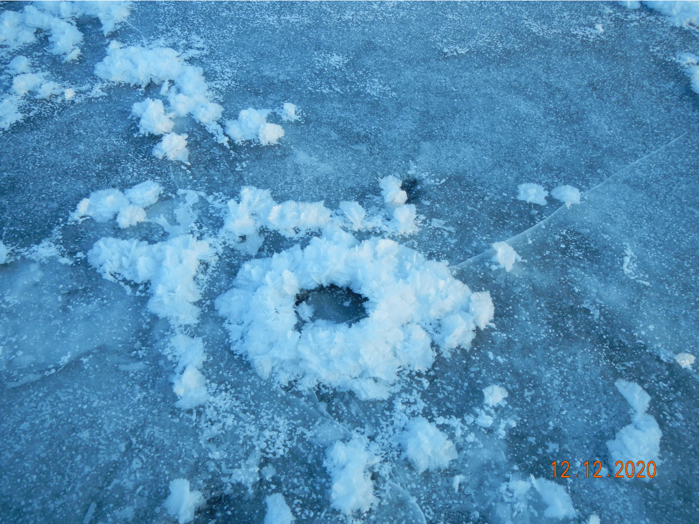 DSCN5307.JPG