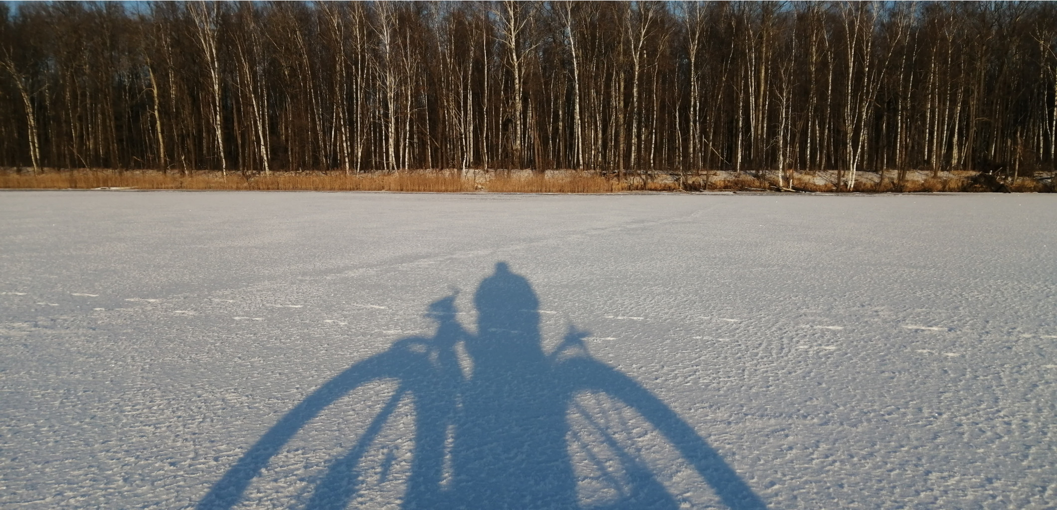 IMG 20201212 103902.jpg
