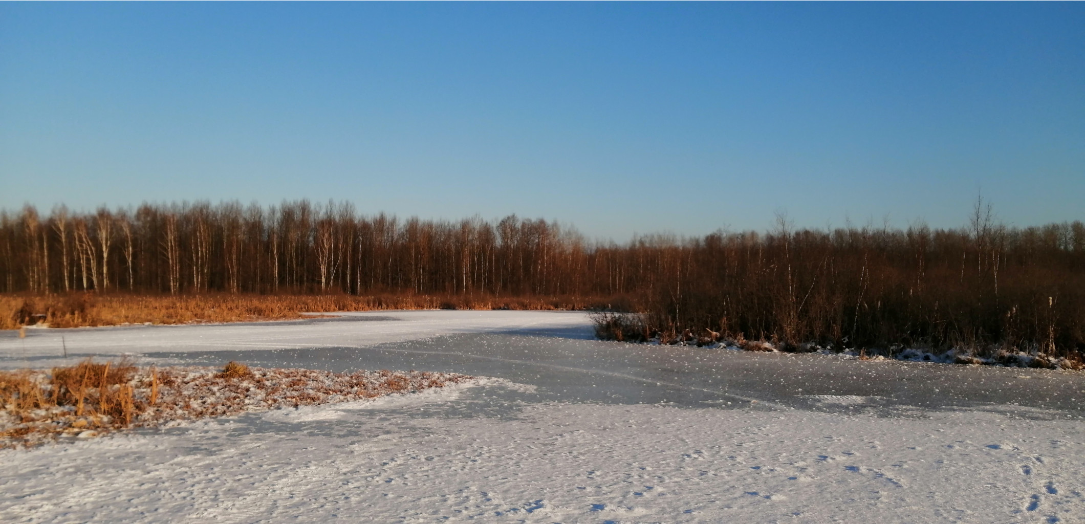 IMG 20201213 112009.jpg