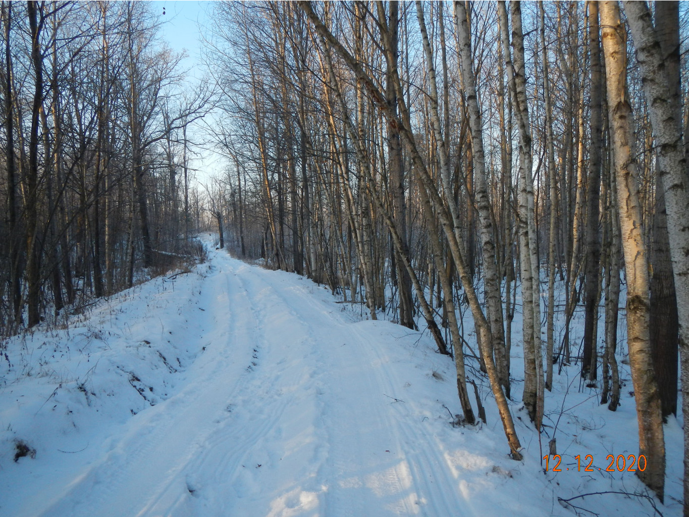 DSCN5286.JPG