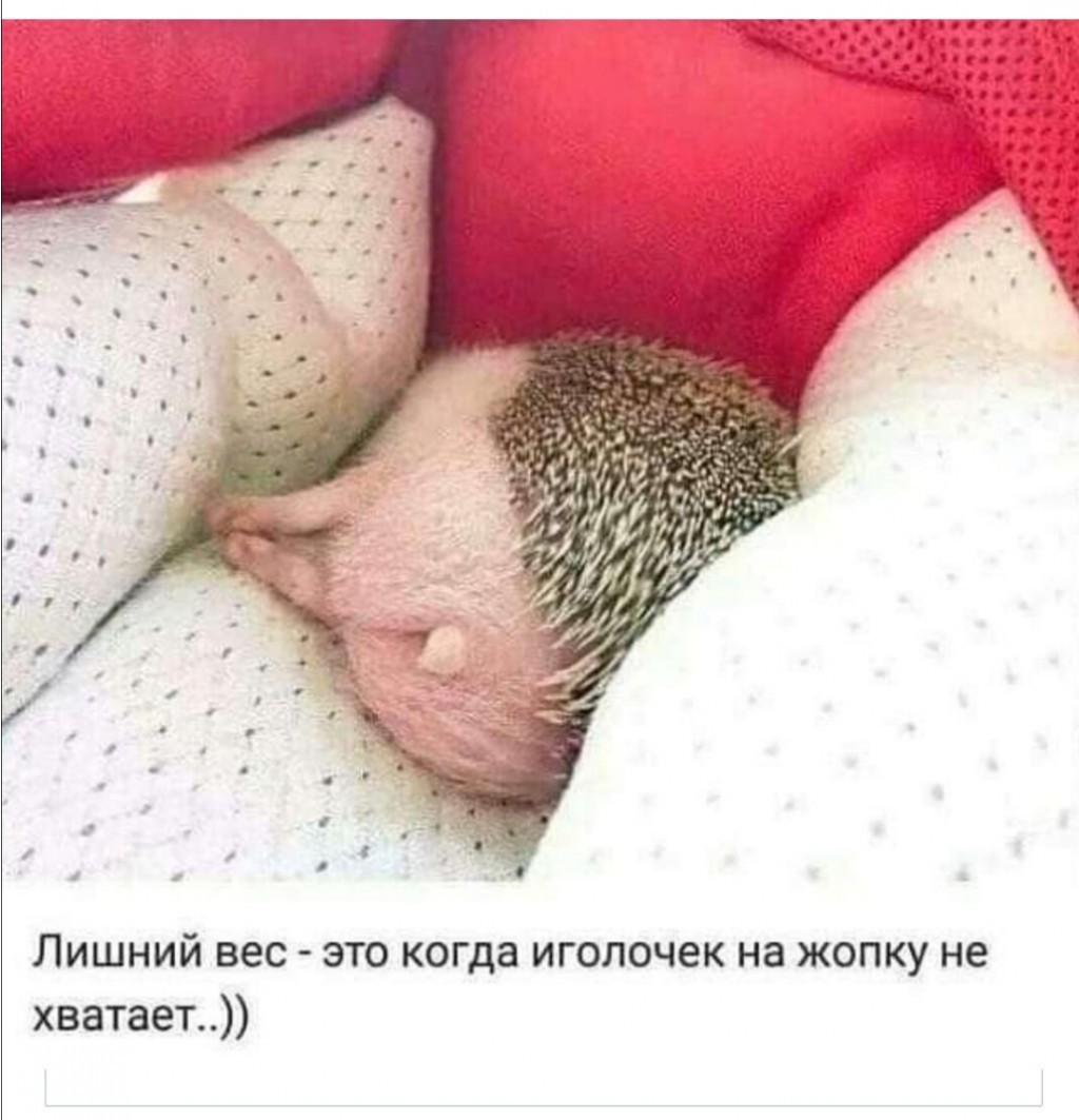 Screenshot 20201227 022905.jpg