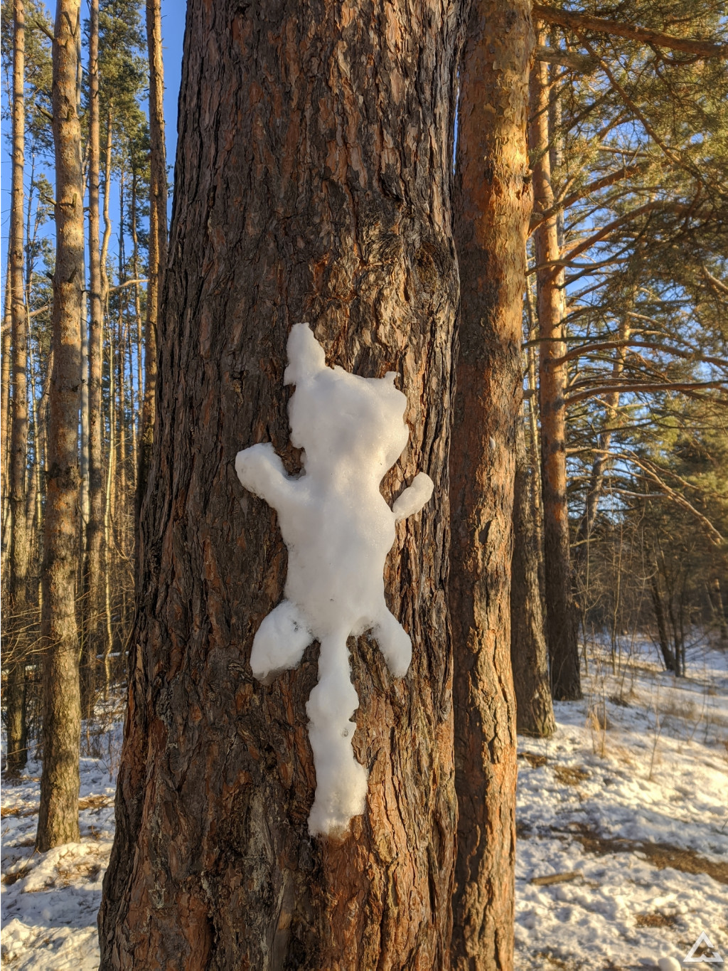 IMG 20201205 102940.jpg