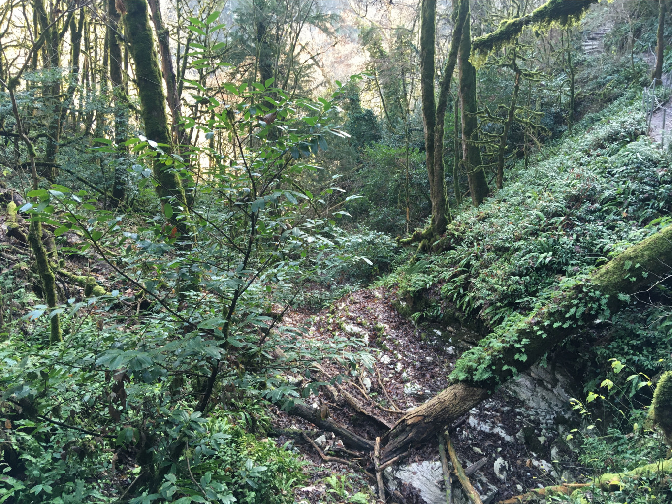 IMG 2891.JPG