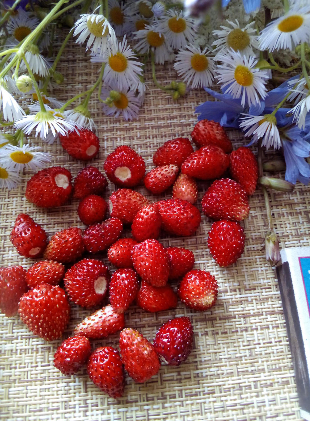 результаты джелкинга до и после 1 сезон фото