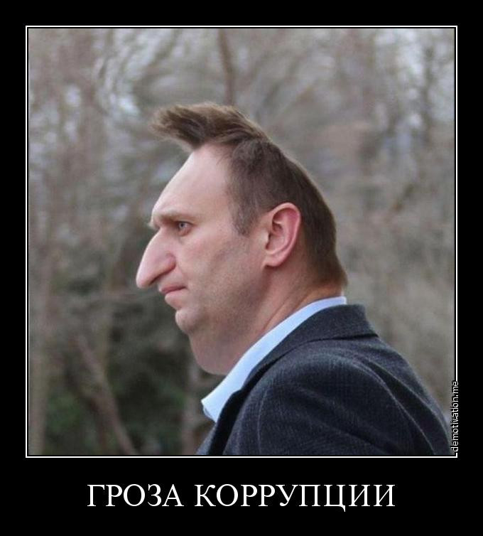 Bx6slkruxbst.jpg