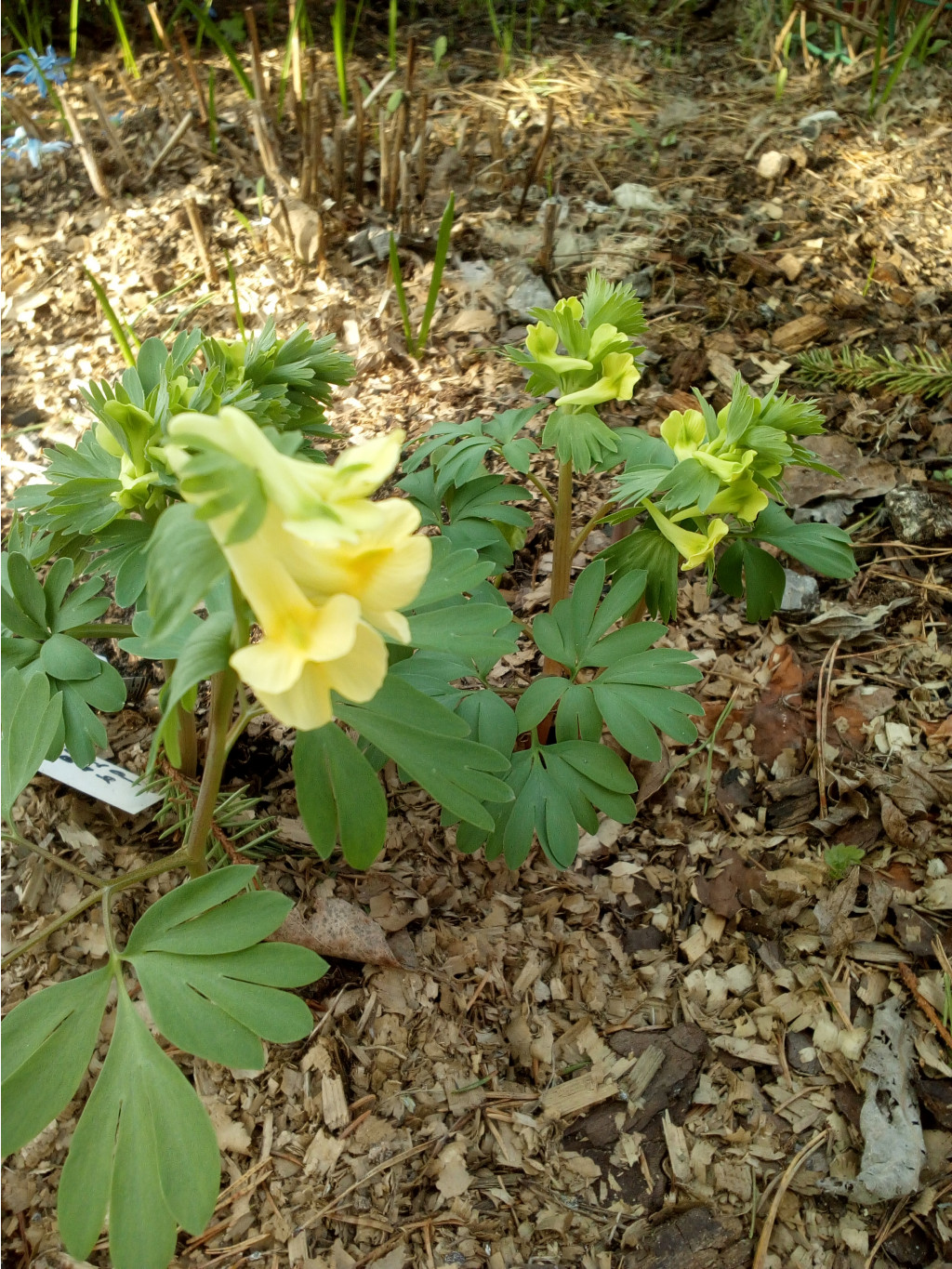 IMG 20190505 164752.jpg