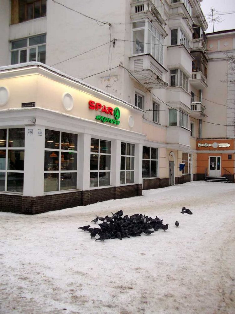 https://img.nn2.ru/galleryview/0/userfiles/data/ufiles/2021-01/b9/2d/cd/5ff067e00c8a7_dscf4088.JPG