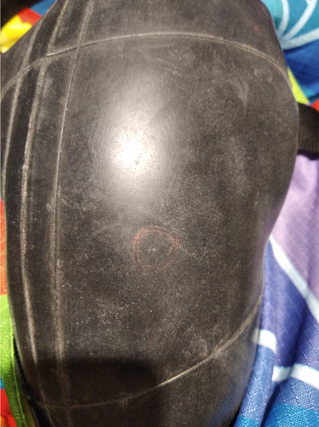 IMG 20210129 180836.jpg