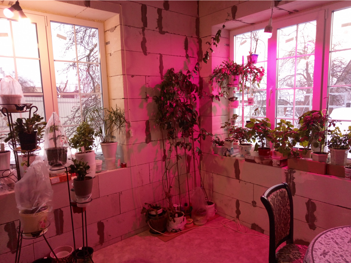 IMG 20210209 163356 7.jpg