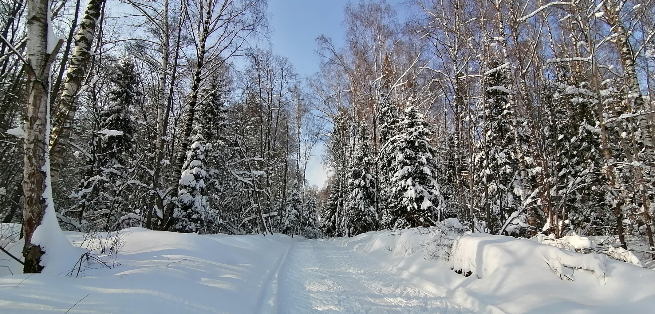 IMG 20210214 121026.jpg