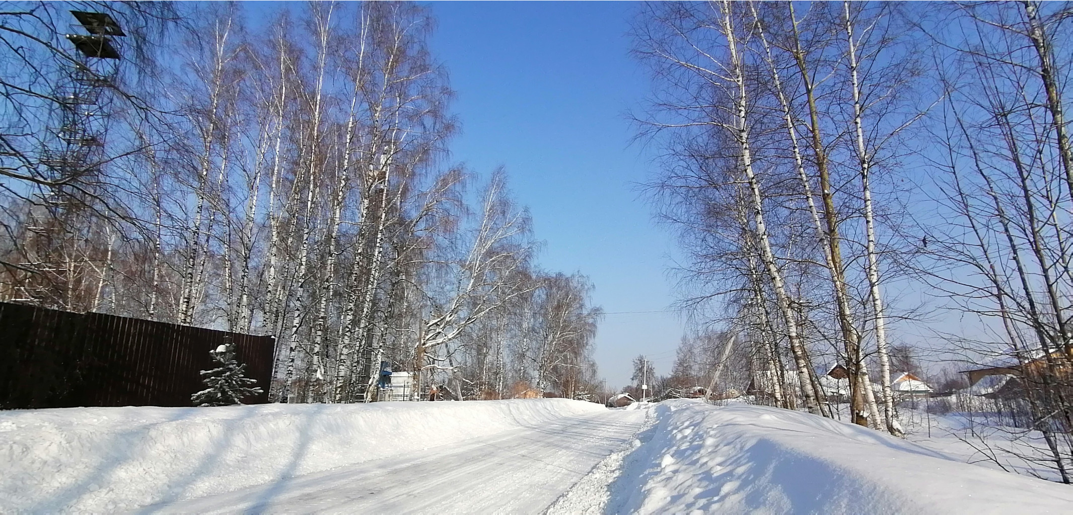 IMG 20210214 104240.jpg