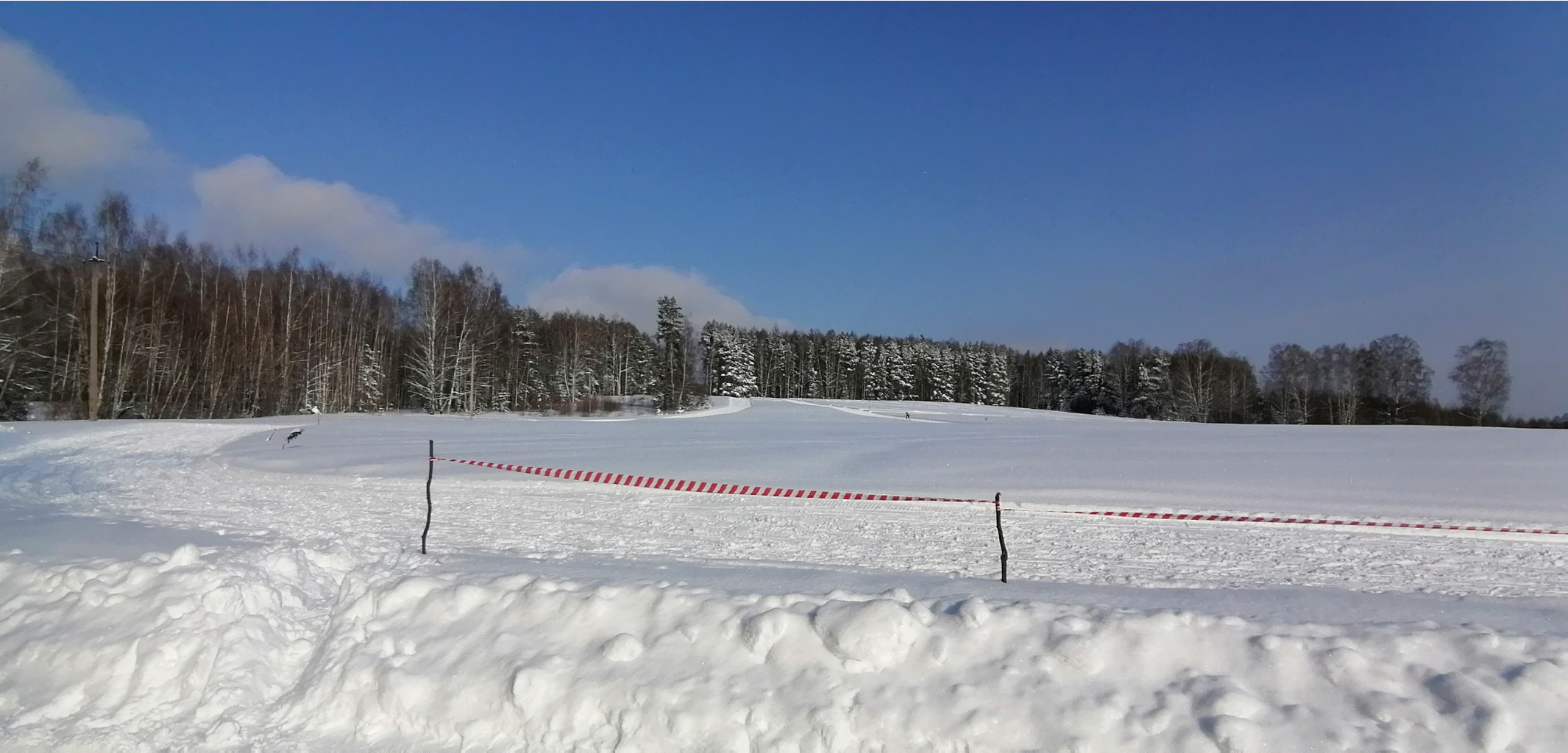 IMG 20210214 124441.jpg
