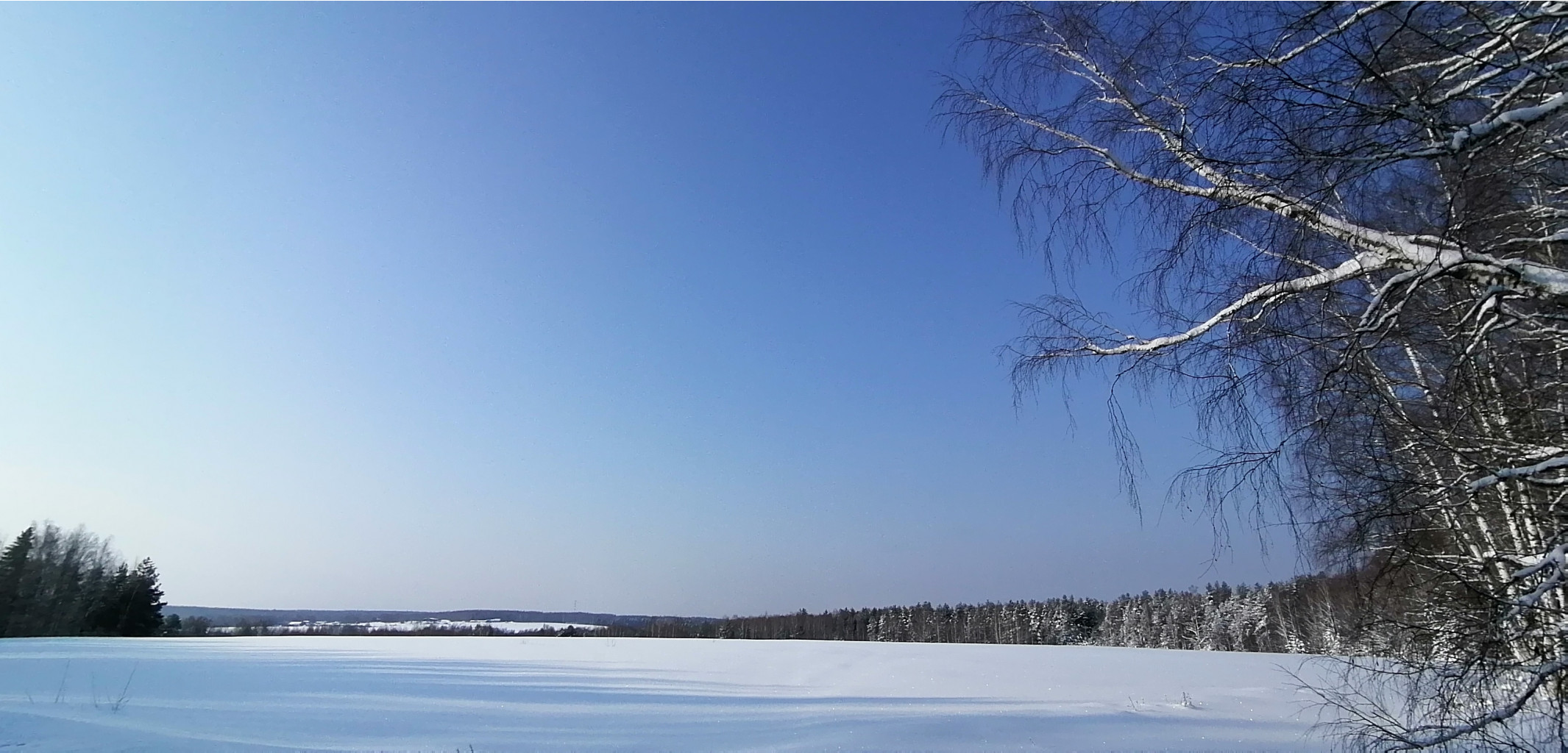 IMG 20210214 105210.jpg