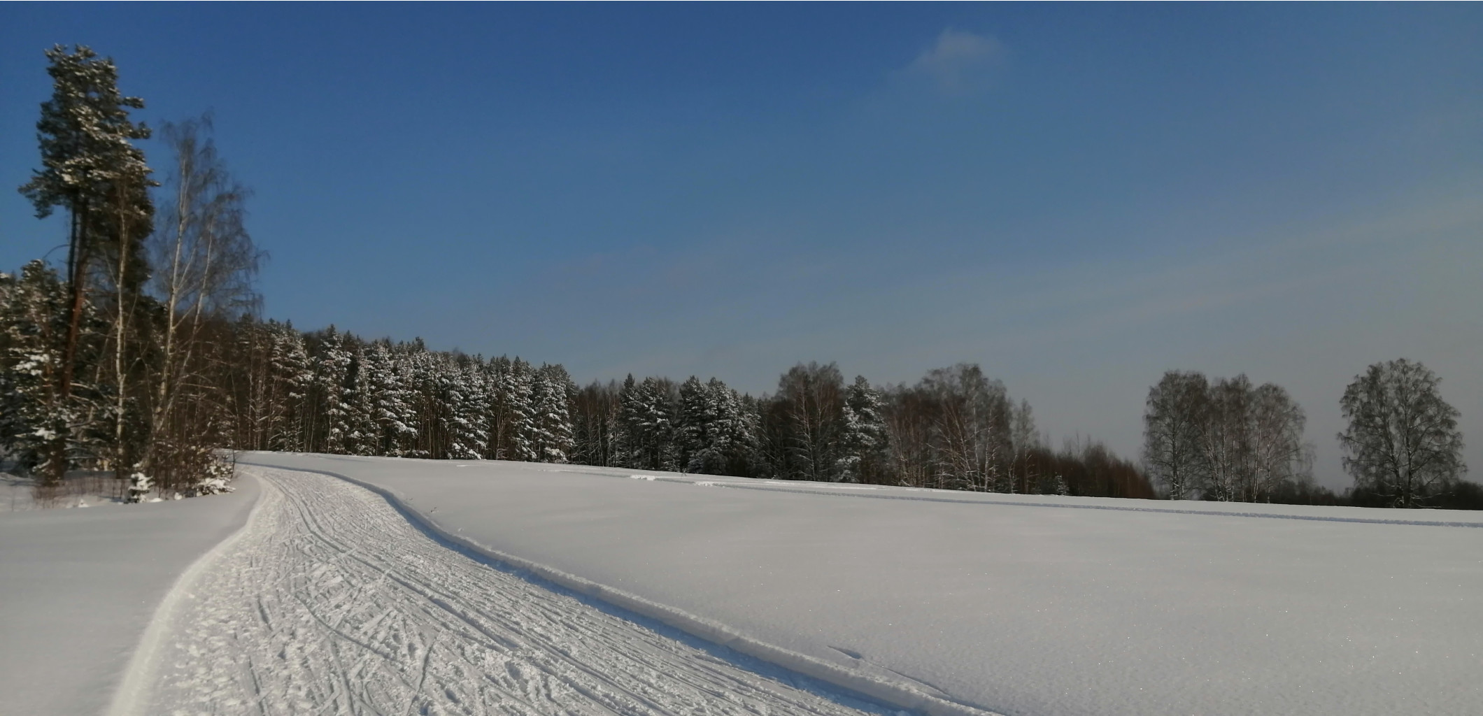 IMG 20210214 124238.jpg