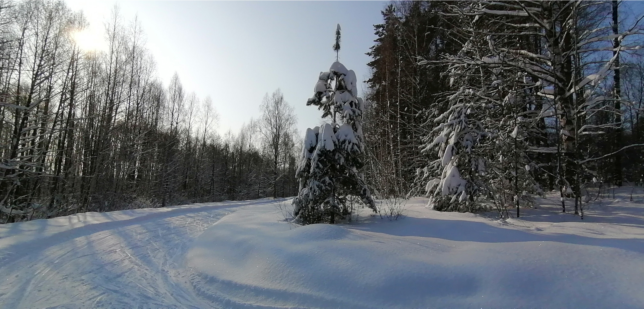 IMG 20210214 111416.jpg