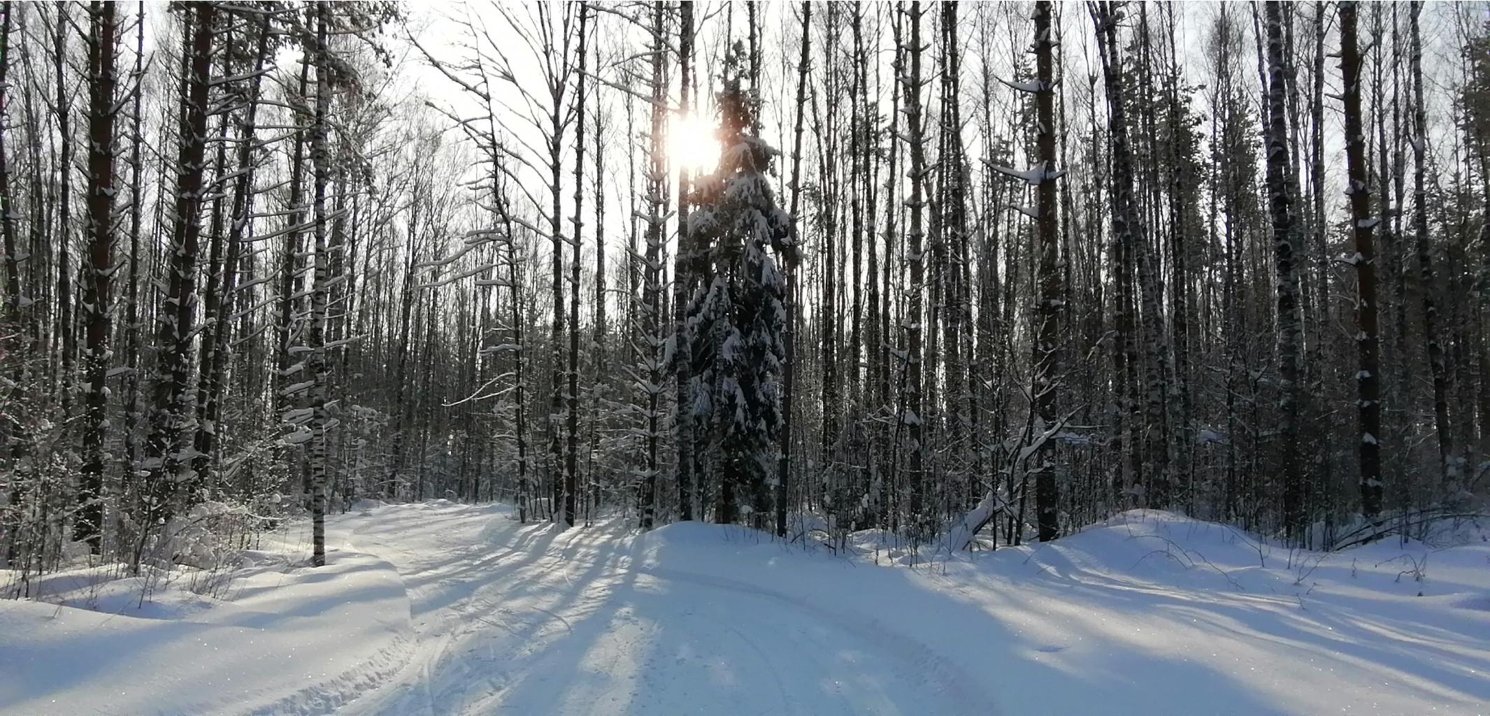 IMG 20210214 110005.jpg