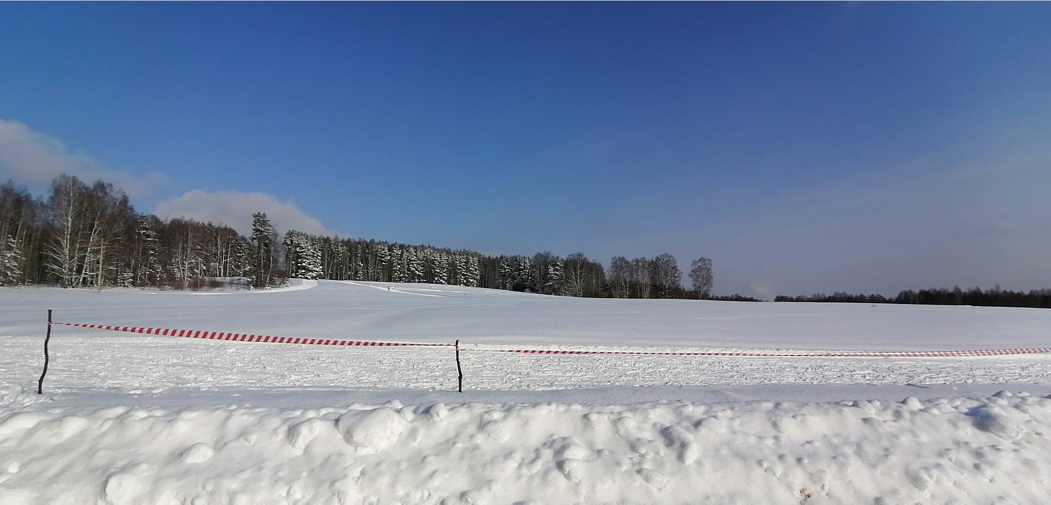 IMG 20210214 124454.jpg