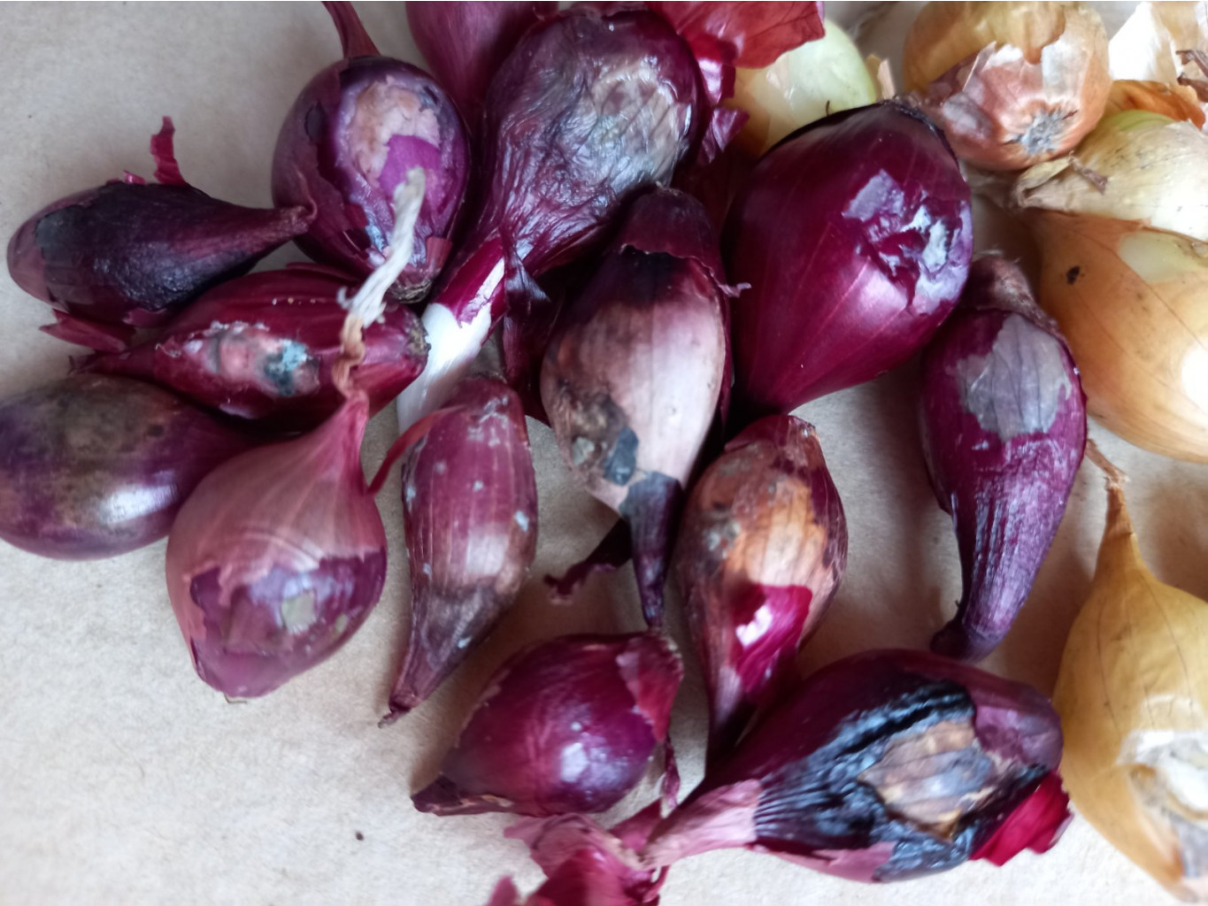  viber 2021-02-19 16-06-36.jpg