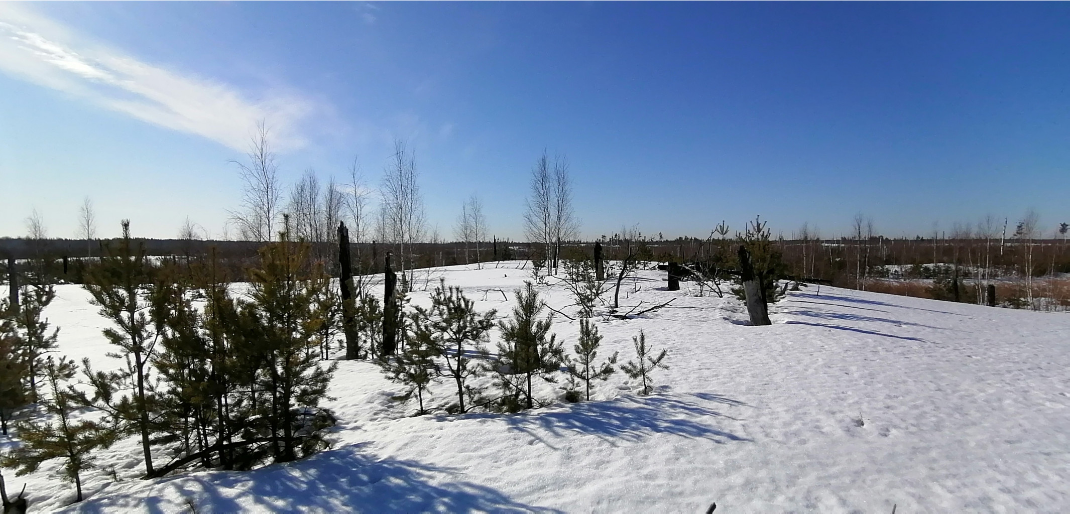 IMG 20210328 092018.jpg