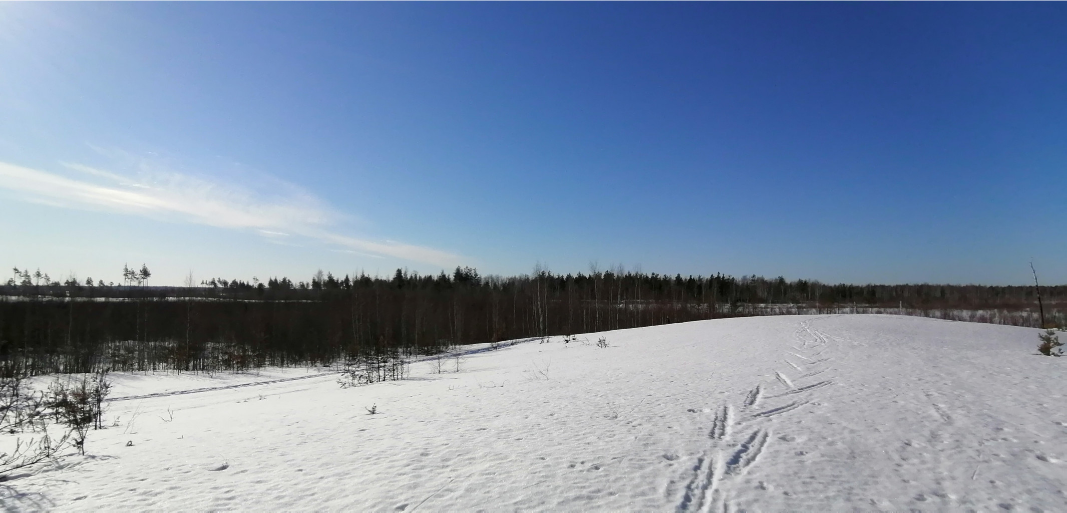 IMG 20210328 085017.jpg