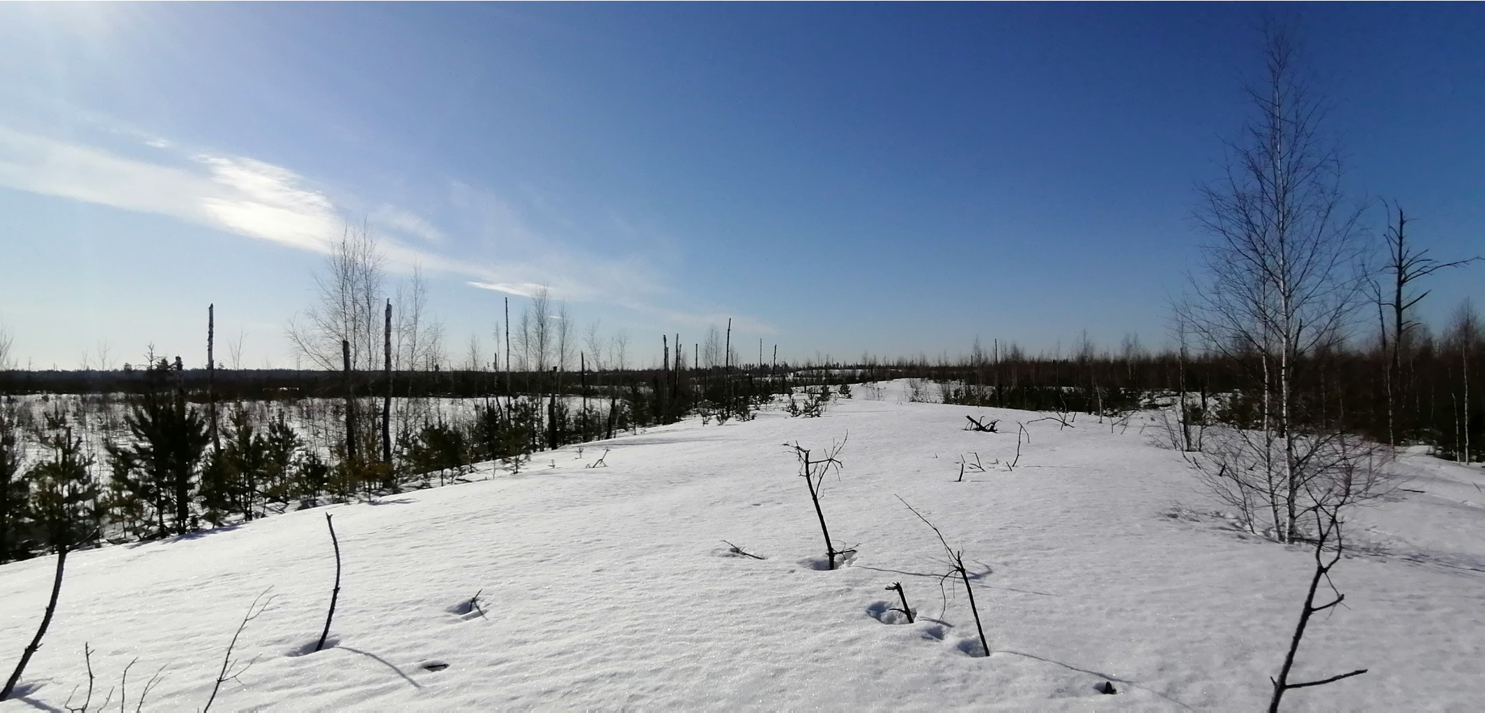 IMG 20210328 090325.jpg