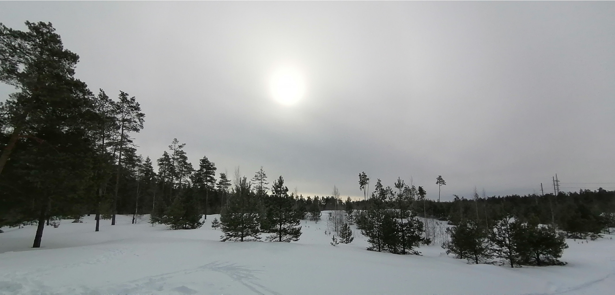 IMG 20210307 095611.jpg