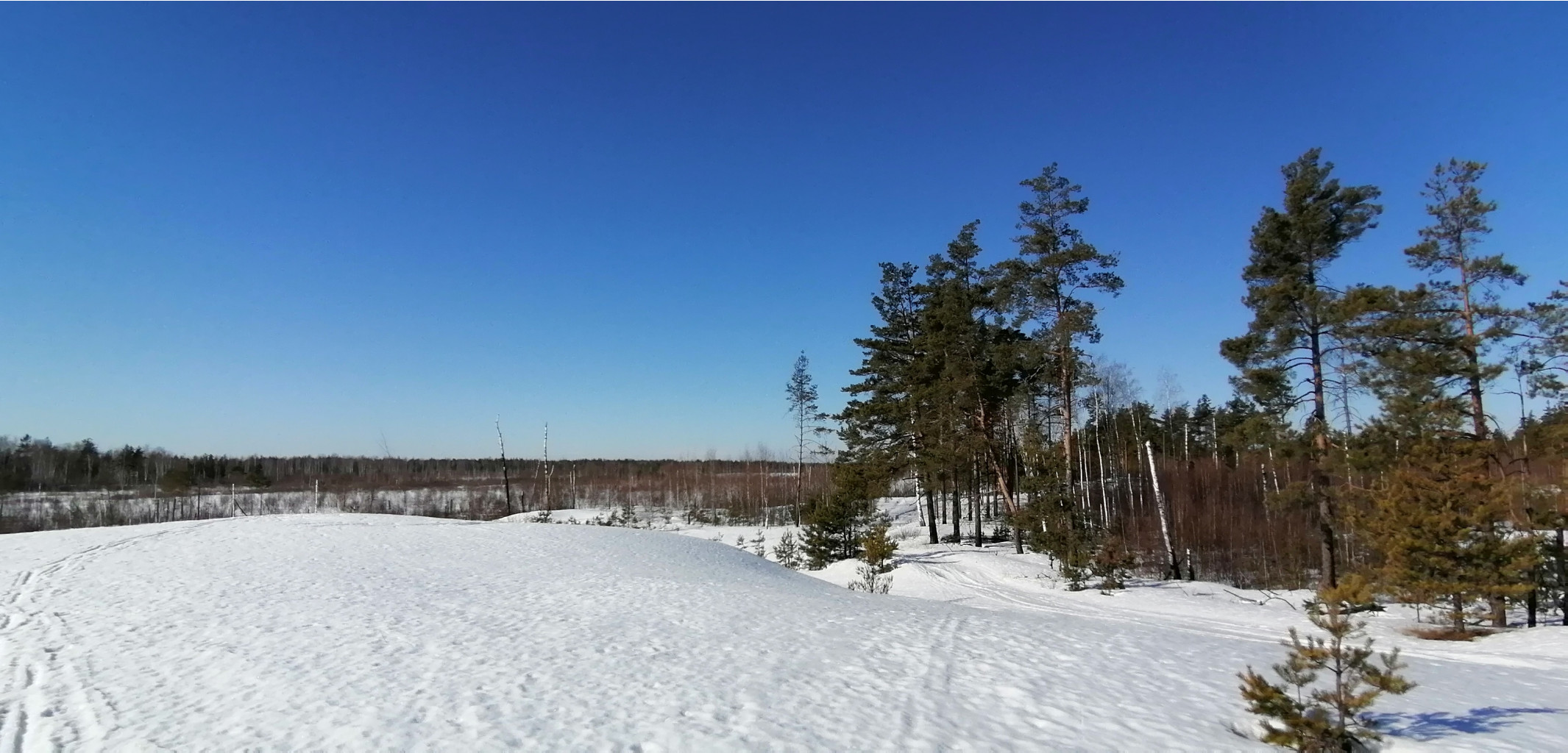 IMG 20210328 085049.jpg