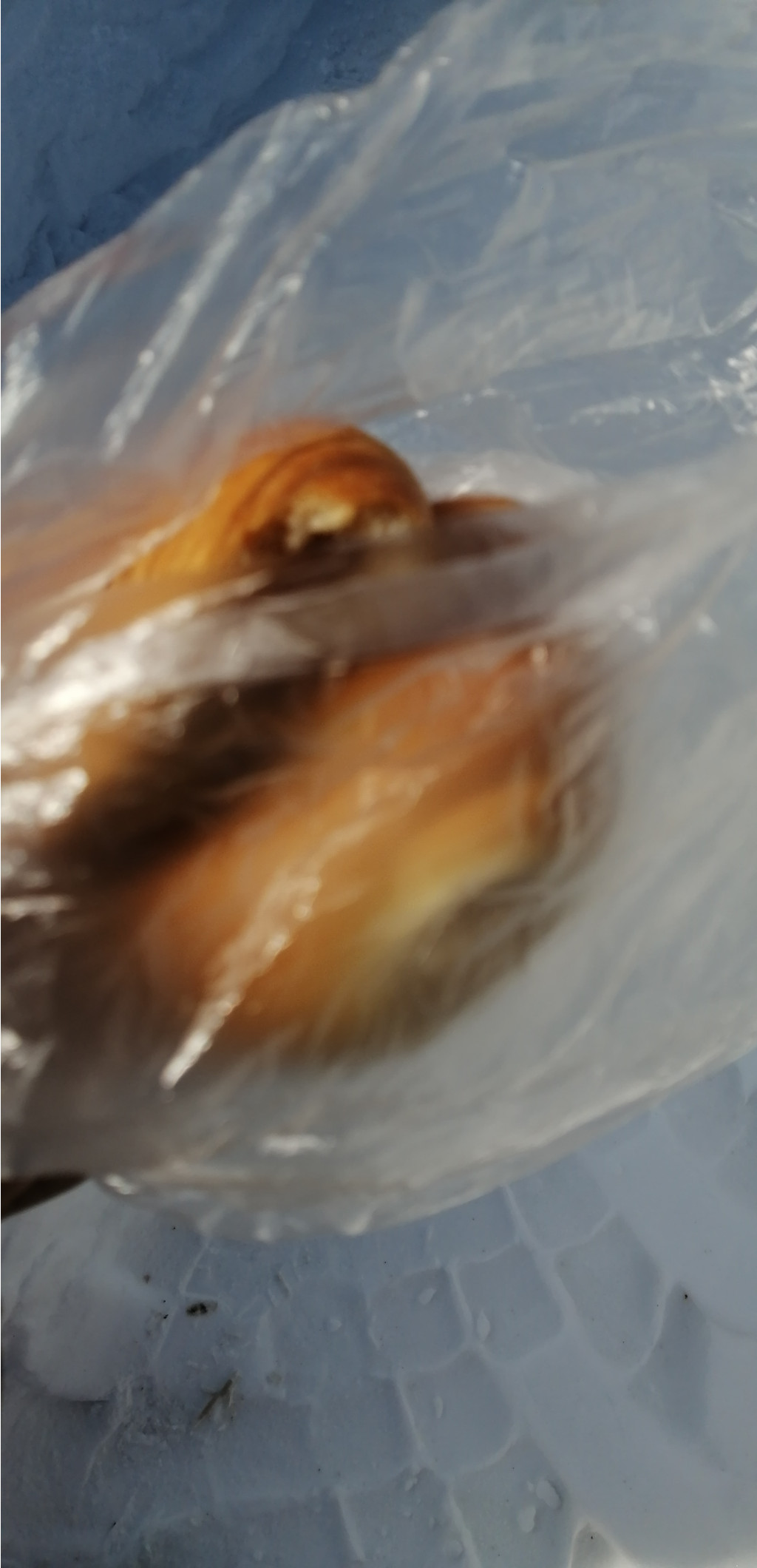 IMG 20210313 110120.jpg